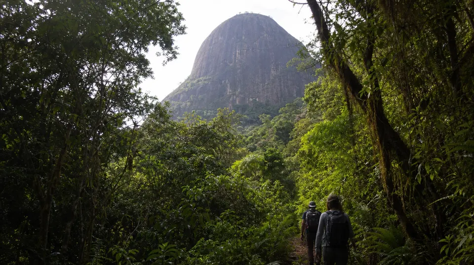 Cabeça de Negro, Petrópolis