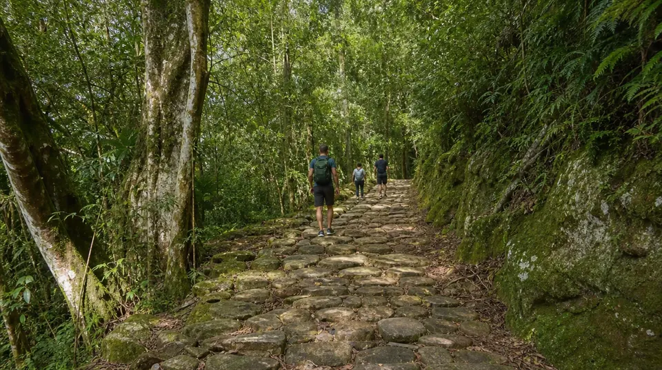 Caminho do Ouro (Serra Velha), Petrópolis