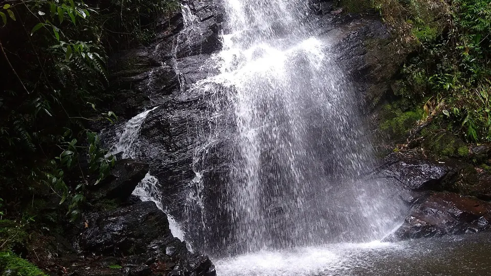 Parte Baixa do Parque Nacional do Itatiaia, Resende e Itatiaia