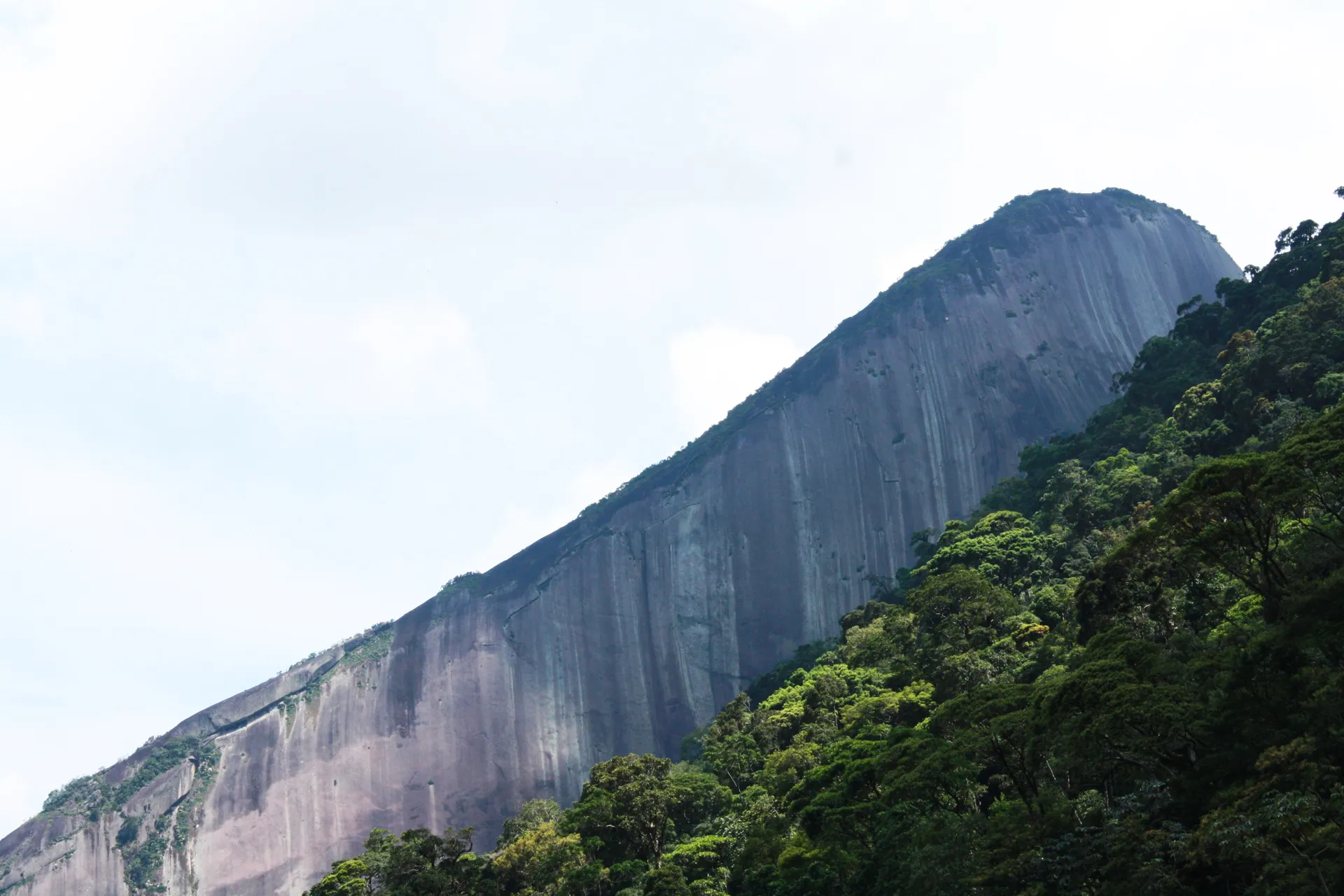 Lajedo de granito do Escalavrado com mata ao redor, Serra dos Órgãos