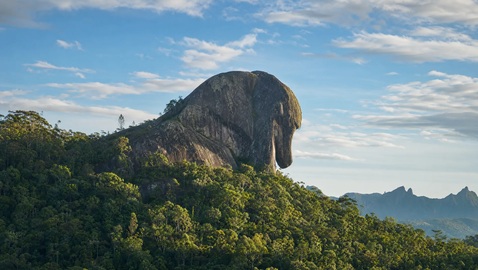 Pedra do Elefante, formação de granito em forma de elefante cercada de Mata Atlântica sob céu azul